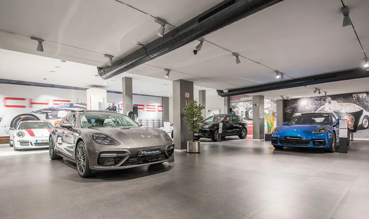 Historia Ditevo 2019