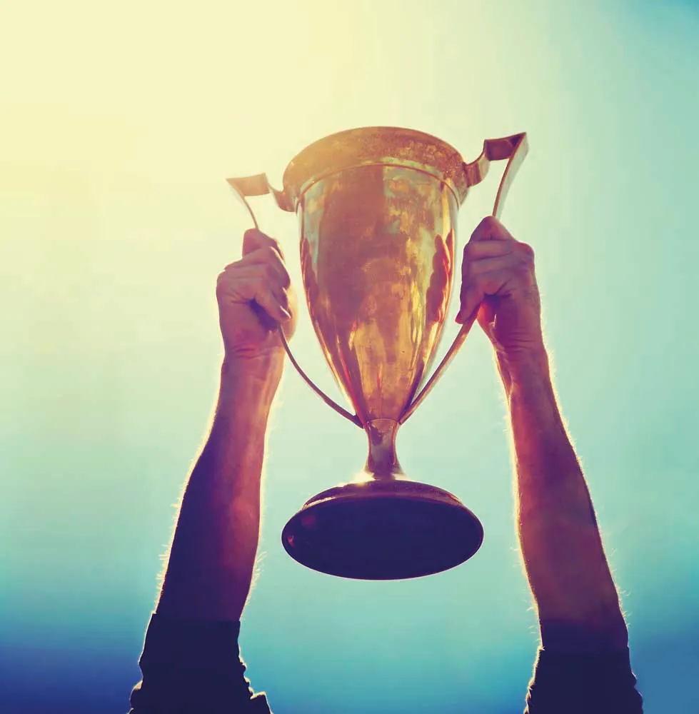 Historia Ditevo 2023