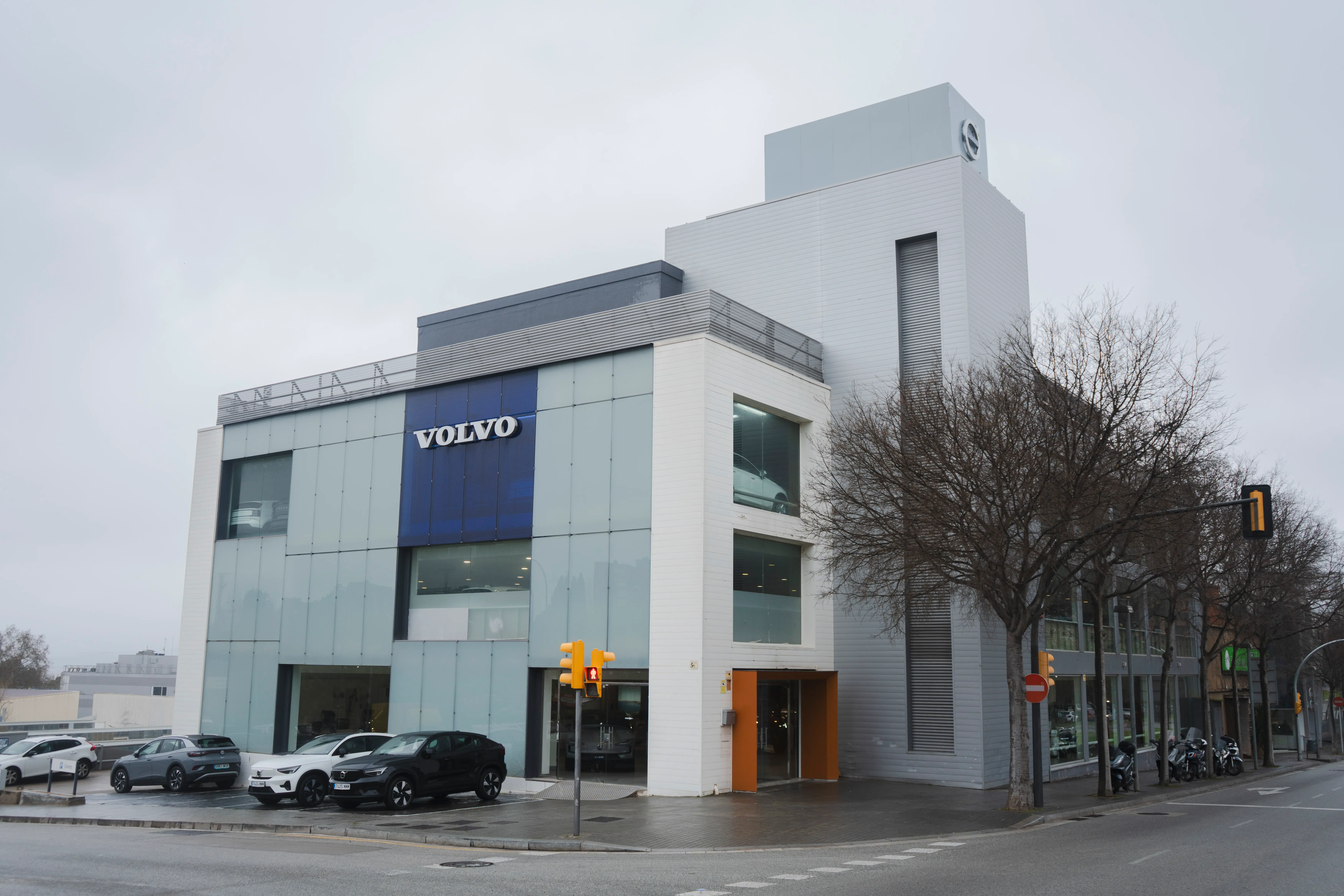 Historia Ditevo 2025